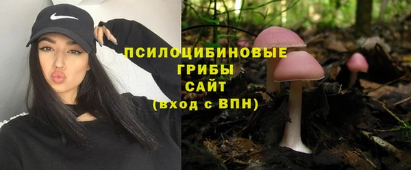 амф Алексин