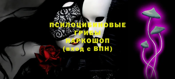 амф Алексин
